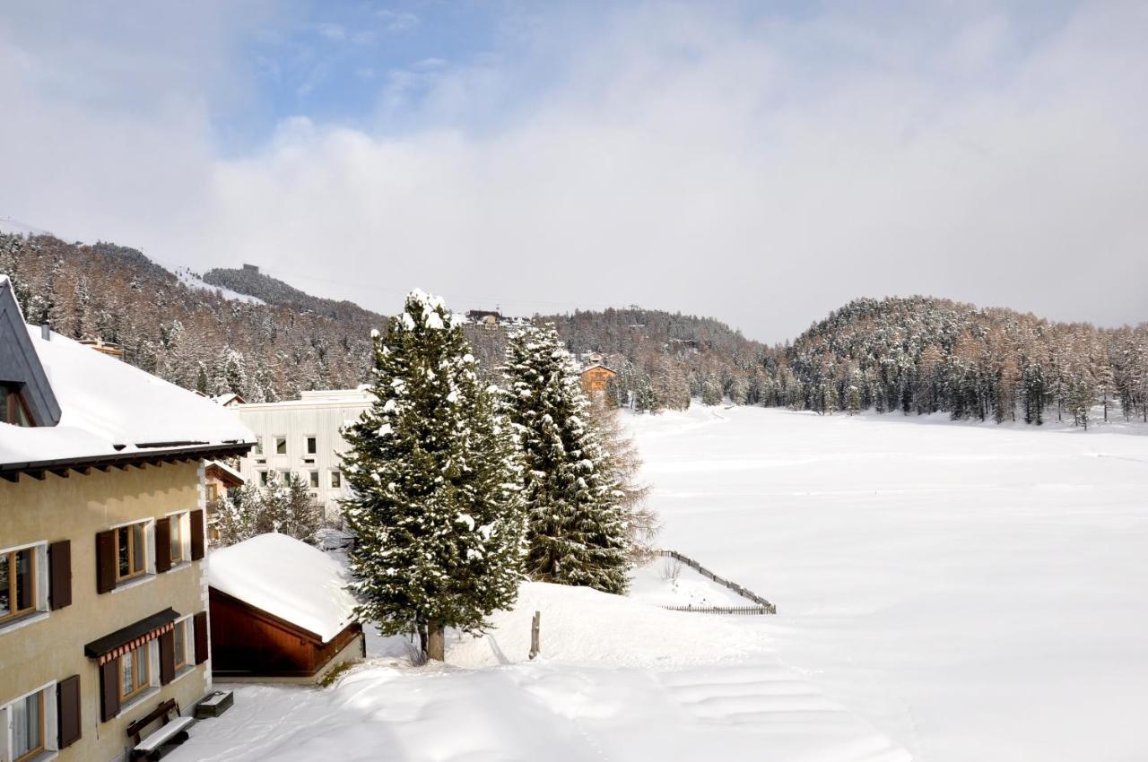 Cosy Apartment Facing Piz Rosatsch St Moritz Exterior foto
